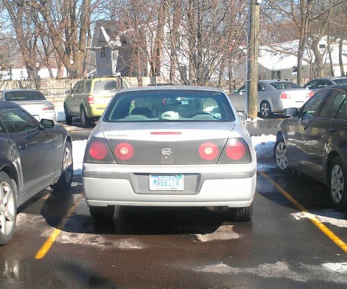 You Can Call me Mr. Guitar - Vanity License Plate by Busted Ride