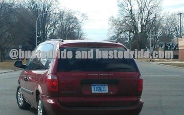 Big Disl - Vanity License Plate by Busted Ride