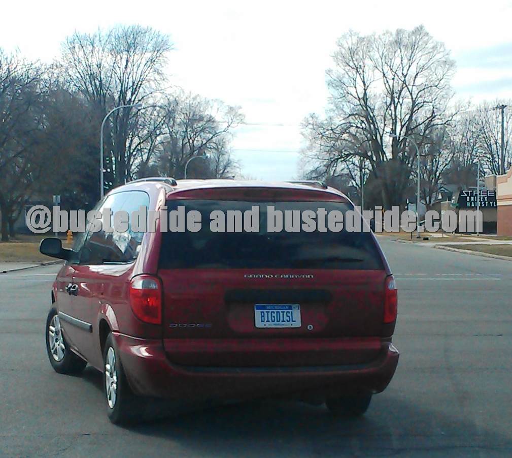 Big Disl - Vanity License Plate by Busted Ride