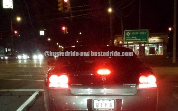 GOT HOG - Vanity License Plate by Busted Ride