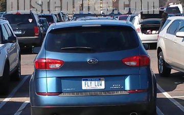 FLY LUV - Vanity License Plate by Busted Ride