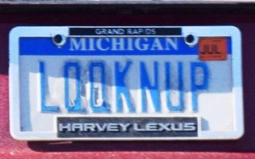 Look N Up - Vanity License Plate by Busted Ride
