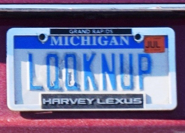 Look N Up - Vanity License Plate by Busted Ride