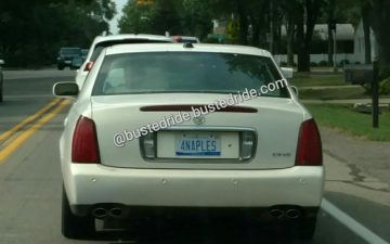 4NAPLES - Vanity License Plate by Busted Ride
