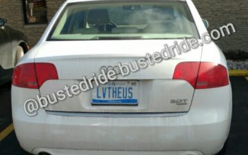 LVTHEUS - Vanity License Plate by Busted Ride