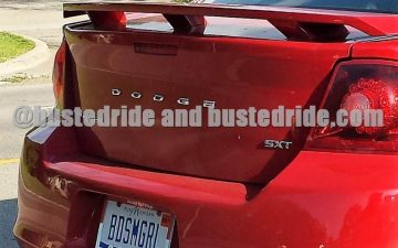 BDSM Girl - Vanity License Plate by Busted Ride