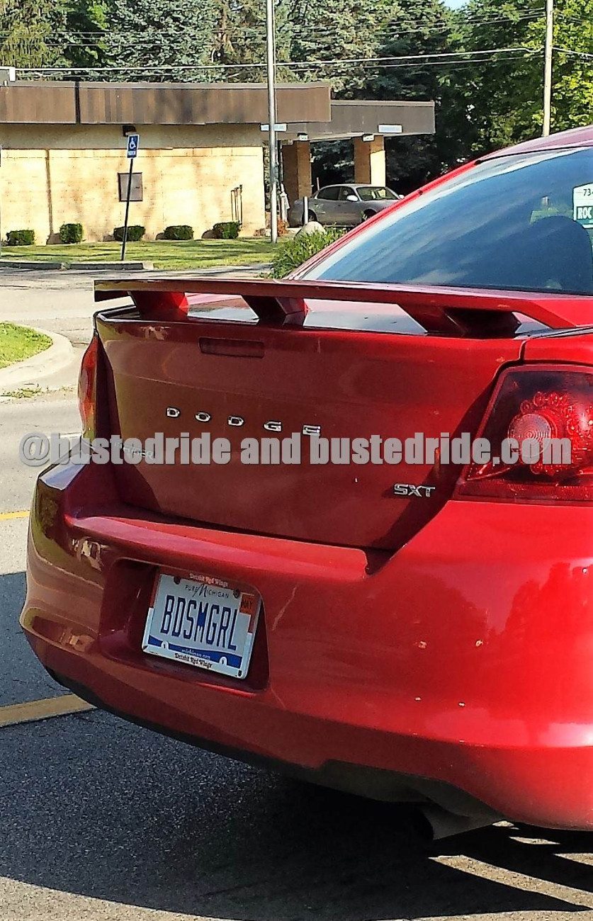 BDSM Girl - Vanity License Plate by Busted Ride