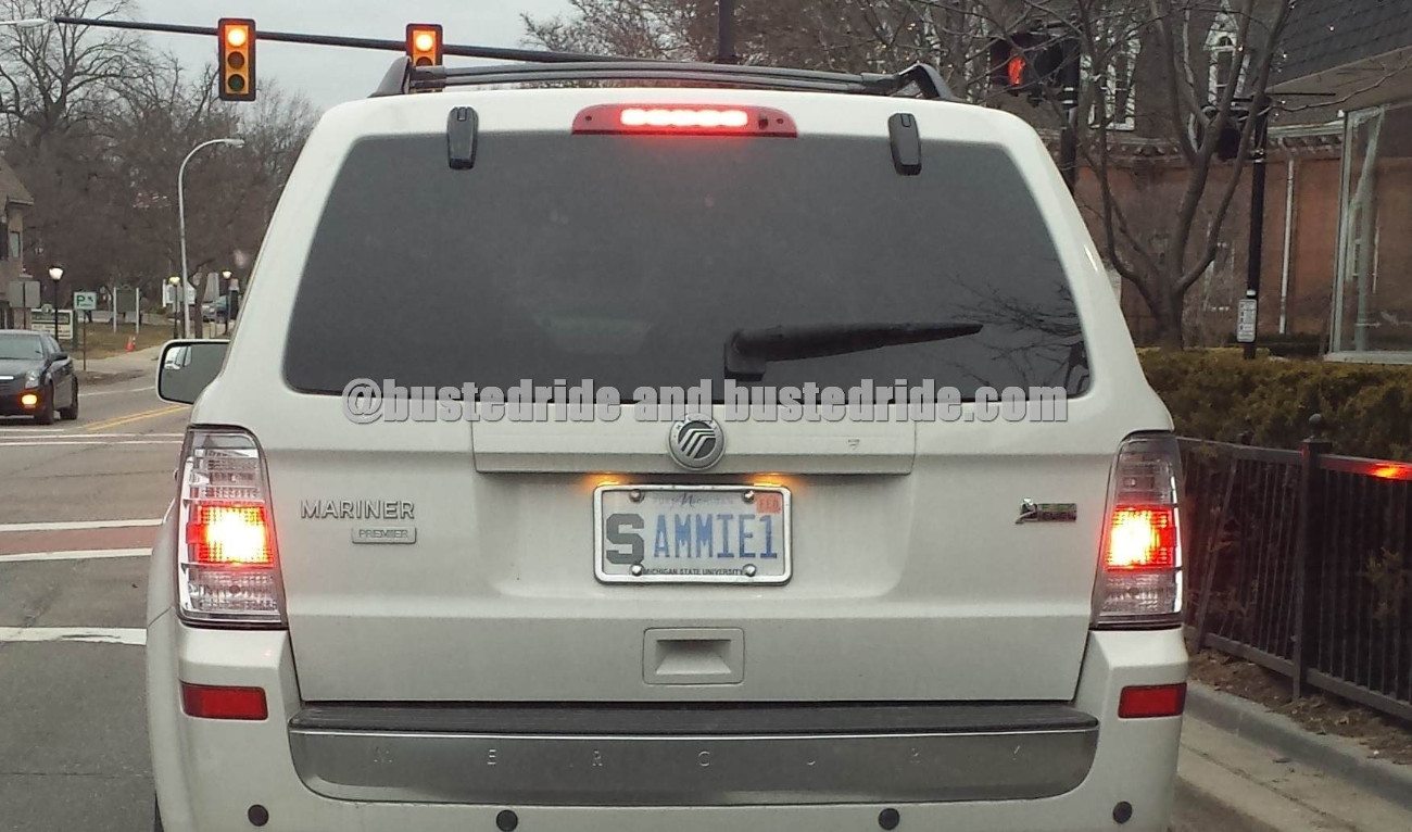 (S)AMMIE1 - Vanity License Plate by Busted Ride