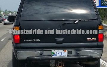 Chive1 - Vanity License Plate by Busted Ride