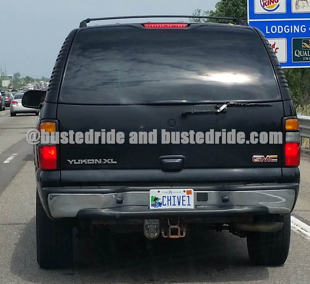 Chive1 - Vanity License Plate by Busted Ride