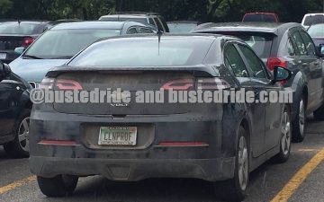 CLNPROF - Vanity License Plate by Busted Ride