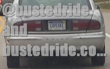 Cupcake - Vanity License Plate by Busted Ride