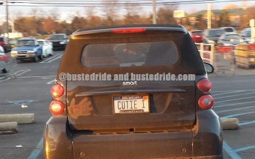 Cutie I - Vanity License Plate by Busted Ride