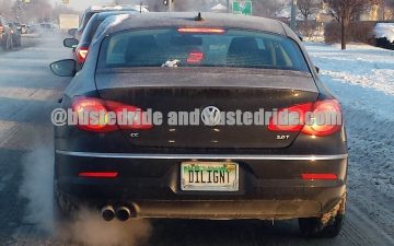 DILIGNT - Vanity License Plate by Busted Ride