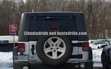 GOHBLU - Vanity License Plate by Busted Ride