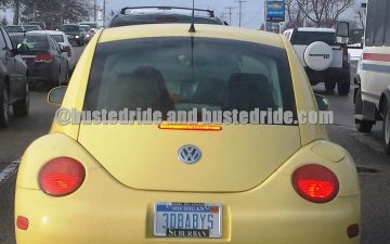 3DBABYS - Vanity License Plate by Busted Ride