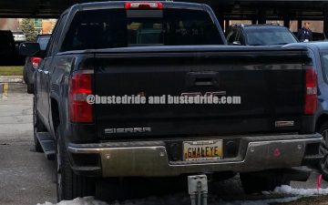 6WALEYE - Vanity License Plate by Busted Ride