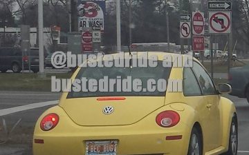 BEC BUG - Vanity License Plate by Busted Ride