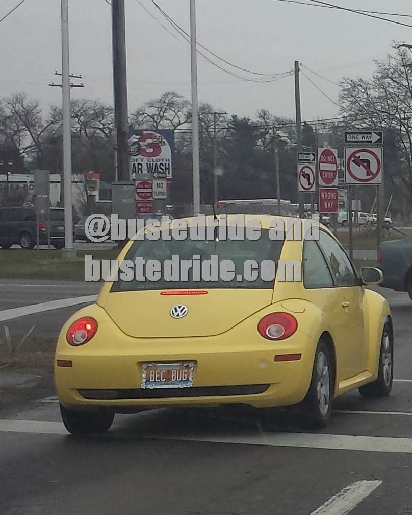 BEC BUG - Vanity License Plate by Busted Ride