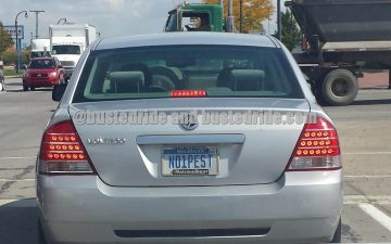 NO1PEST - Vanity License Plate by Busted Ride