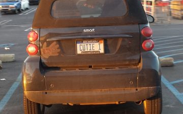 Cutie 1 - Vanity License Plate by Busted Ride