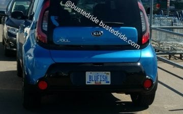 BluFish - Vanity License Plate by Busted Ride