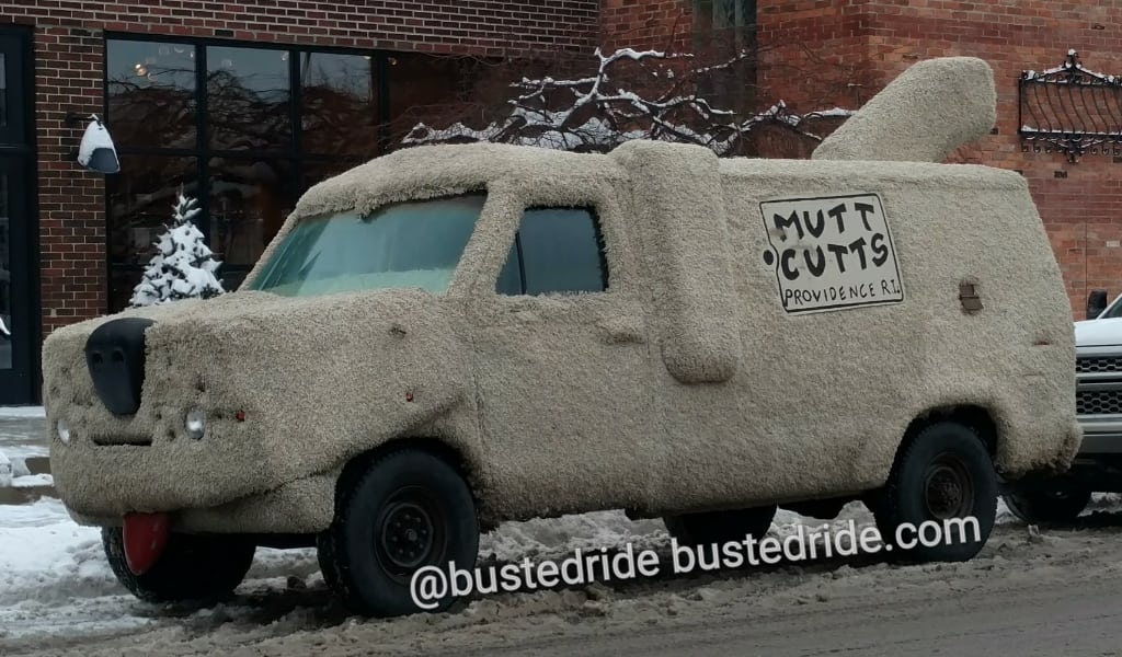 Star Car Post: Dumb and Dumber Mutts Cuts - Vanity License Plate by Busted Ride