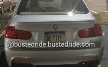 PITA - Vanity License Plate by Busted Ride