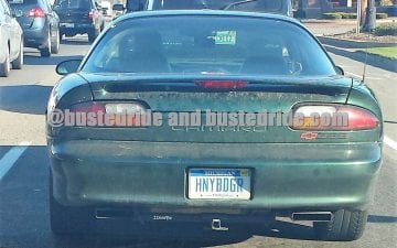 HNYBDGR - Vanity License Plate by Busted Ride