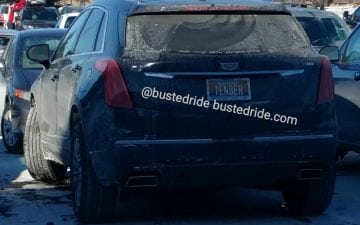TENDER - Vanity License Plate by Busted Ride