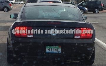 FLLON01 - Vanity License Plate by Busted Ride