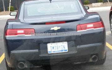 IMTRYIN - Vanity License Plate by Busted Ride