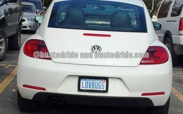 LOVBUGS - Vanity License Plate by Busted Ride