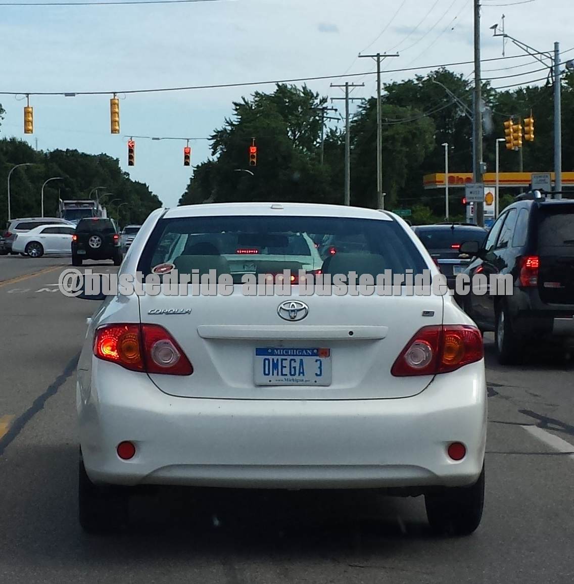 Omega 3 - Vanity License Plate by Busted Ride