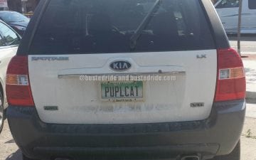 PUPLCAT - Vanity License Plate by Busted Ride