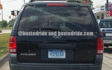 RIP BIG D - Vanity License Plate by Busted Ride