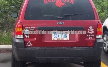 SOX FAN - Vanity License Plate by Busted Ride