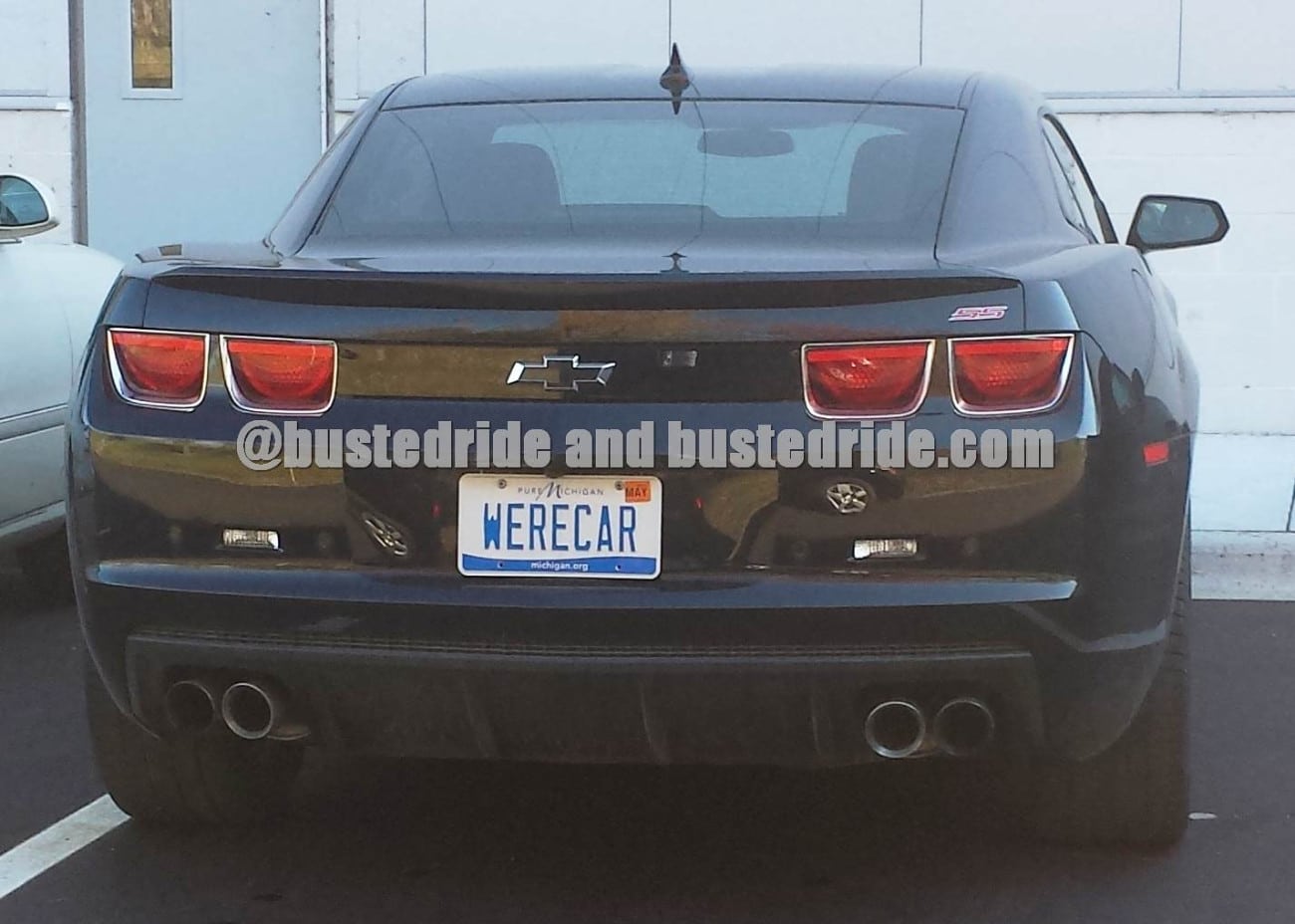 WERECAR - Vanity License Plate by Busted Ride