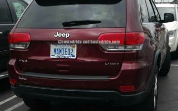 MAMIE02 Happy Grand Parents Day - Vanity License Plate by Busted Ride