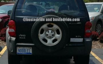 NOODLE1 - Vanity License Plate by Busted Ride
