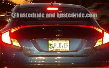 PLOVER - Vanity License Plate by Busted Ride