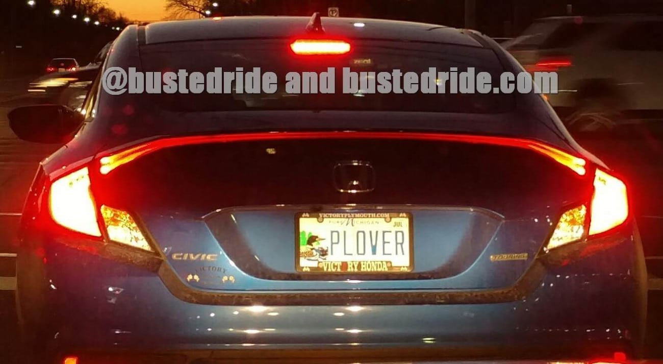 PLOVER - Vanity License Plate by Busted Ride