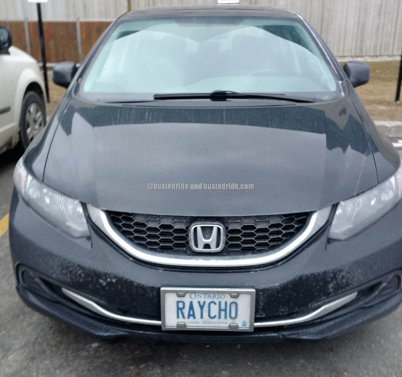Raycho - Vanity License Plate by Busted Ride