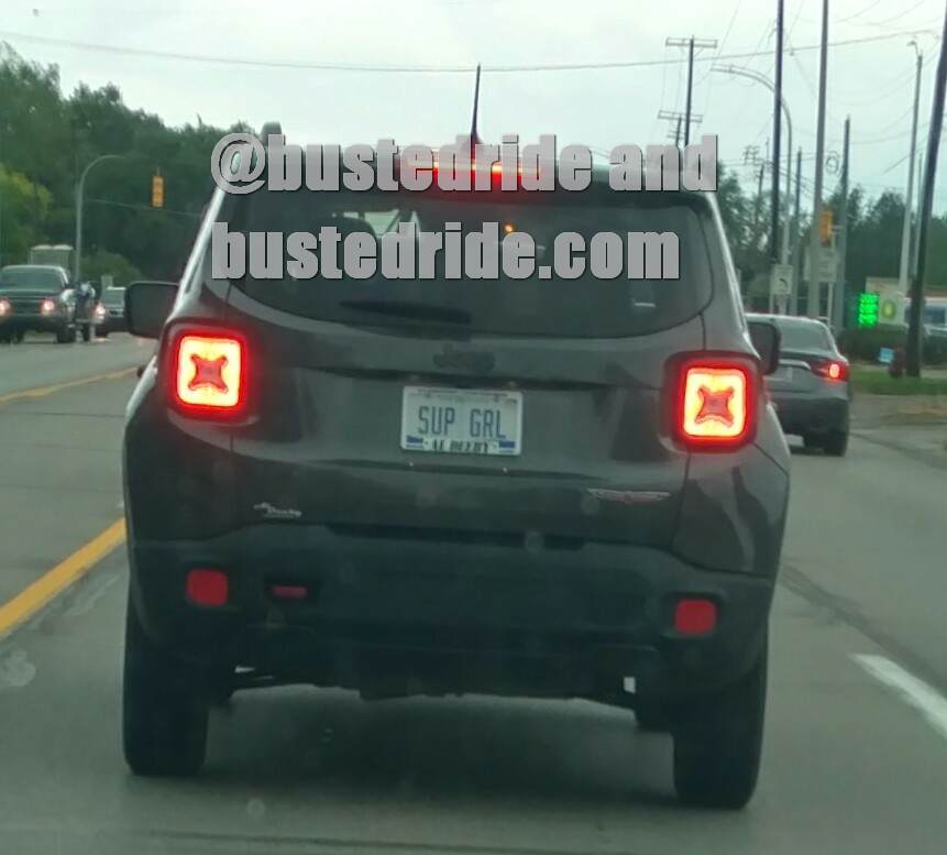 SUP GRL - Vanity License Plate by Busted Ride