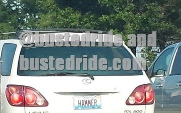 HAMMER - Vanity License Plate by Busted Ride