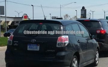 MrWilde - Vanity License Plate by Busted Ride