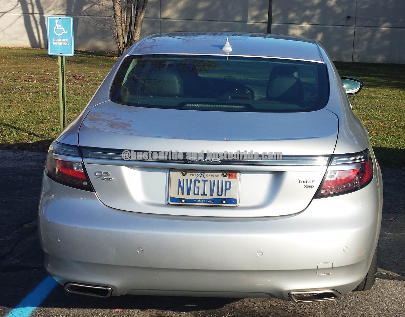 NVGIVUP - Vanity License Plate by Busted Ride