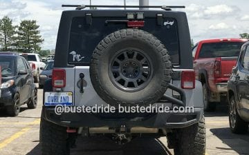 OVRLAND - Vanity License Plate by Busted Ride