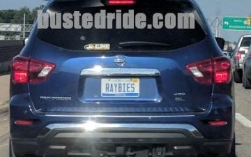 RABIES - User Submission by Busted Ride