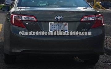 Reddy T - Vanity License Plate by Busted Ride